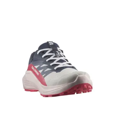 Salomon Women's Alphaglide GTX