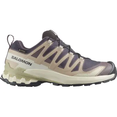 Salomon Women's XA Pro 3d V9 GORE-TEX Nine Iron/oxford Tan/alfalfa