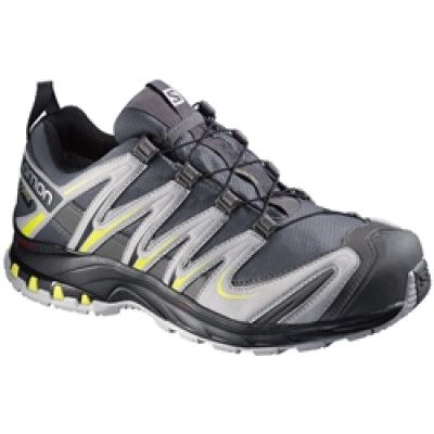 Salomon XA Pro 3D GTX