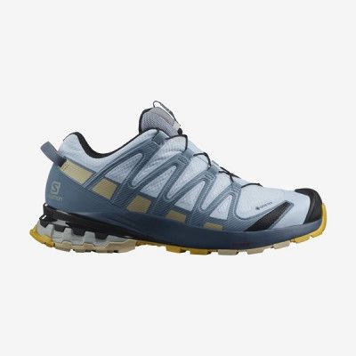 Salomon Xa Pro 3D V8 Gore Tex W Kentucky Blue