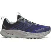 Saucony Men's Ride Tr2 Gore-Tex Regal/black