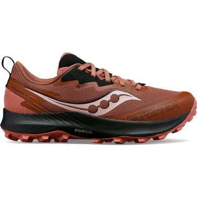 Saucony Women's Peregrine 14 GORE-TEX Clove/Black
