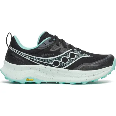 Saucony Women's Peregrine 16 GORE-TEX Black/aqua