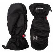 Skirr Gtx M Mitt, Black, M,  Kombi