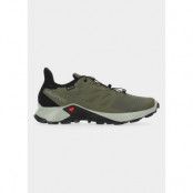 Supercross 3 Gore-Tex, Olive Night/Wrought Iron/Black, 41 1/3