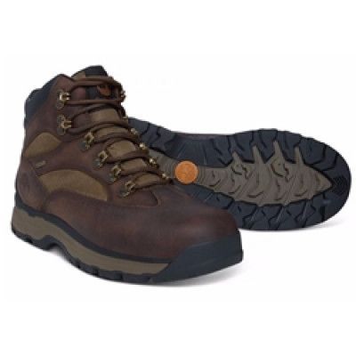 Timberland Chocorua Trail 2 GTX