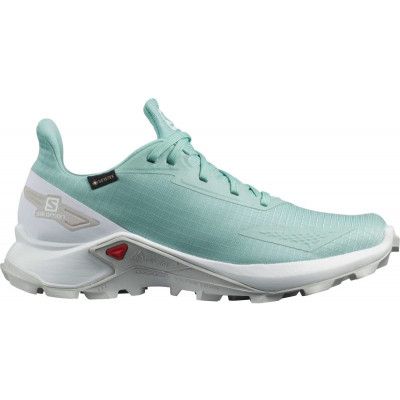 Women's Alphacross Blast Gore-Tex