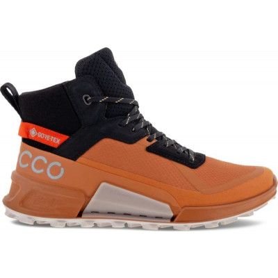Women's Ecco Biom 2.1 Gore-Tex Mountain