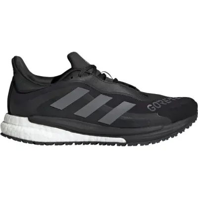 Women's SolarGlide 4 Gore-Tex Shoes