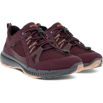Ecco Women's Terracruise II Gtx Tex Fig/Fig