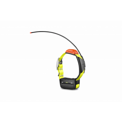 Garmin T5 halsband