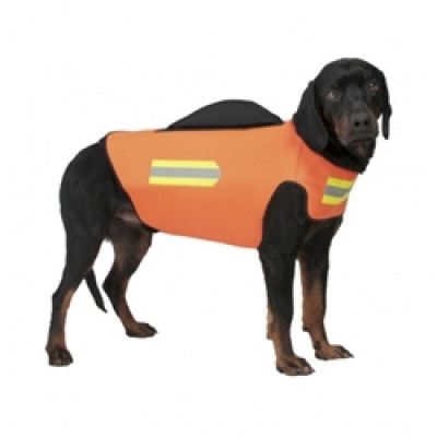 GPS Dog Kevlar
