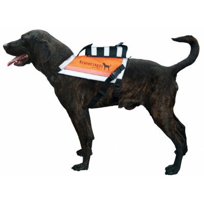 Kemmesabbe Hundväst GPS