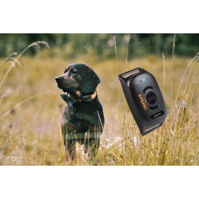 WeHunt GPS II Hundpejl