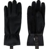Regulus Glove