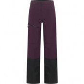 Jack Wolfskin Men's Alpspitze Tour 3l Pants Midnight Plum