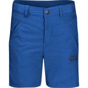 Kids' Sun Shorts (2021) coastal blue