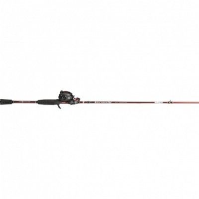 Abu Garcia Ambassadeur Perch Combo