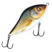 Salmo Slider 10 cm jerkbait RER