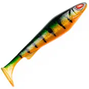 Daiwa Prorex Lazy Shad 24 cm Ghost Golden Perch