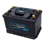 Patriot Marine e-Force LiFePo4 litiumbatteri 12V 110Ah