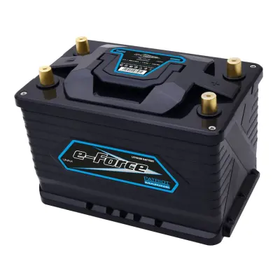 Patriot Marine e-Force LiFePo4 litiumbatteri 12V 110Ah
