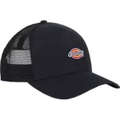 Dickies Hanston Trucker Black