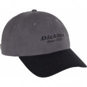 Dickies Men's Twill Dad Hat Graphite