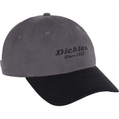 Dickies Men's Twill Dad Hat Graphite