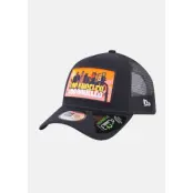 LICENSE PLATE TRUCKER NEWERA