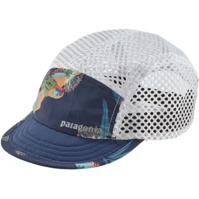 Patagonia Duckbill Cap Parrots: Stone Blue