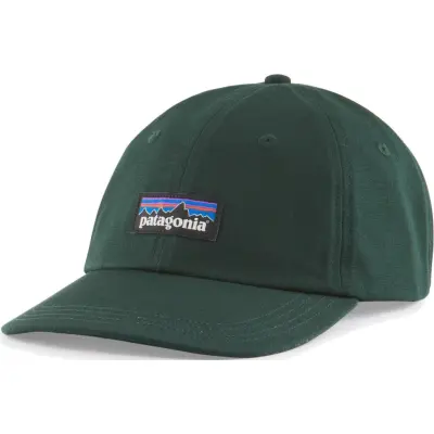 Patagonia P-6 Label Trad Cap Northern Green