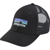 Patagonia P-6 Logo LoPro Trucker Hat Black (2019)