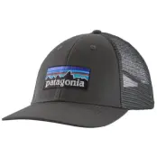 Patagonia P-6 Logo LoPro Trucker Hat Forge Grey