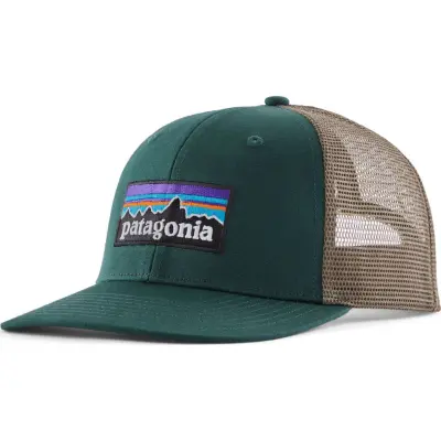 Patagonia P-6 Logo Trucker Hat Cascade Green