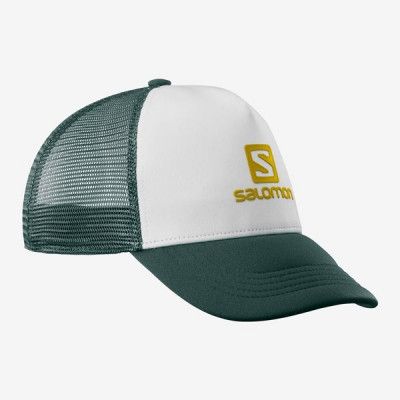 Salomon Summer Logo Cap M