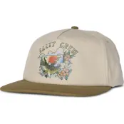Salty Crew Men's Hopper 5 Panel Oyster/brown