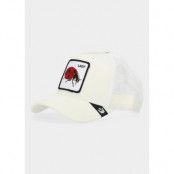The Lady Bug, Ivory, One Size,  Hattar