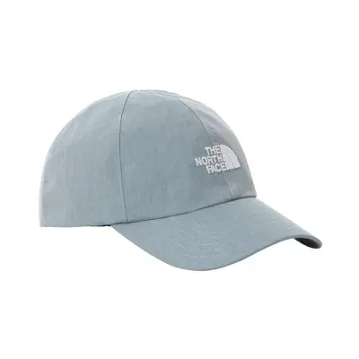 The North Face Logo Future Lt Hat Goblin Blue