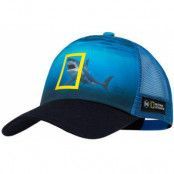 Buff Trucker Cap Seons Navy