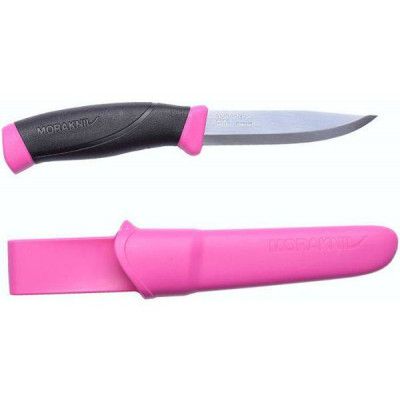 Companion Adventure Pinkki