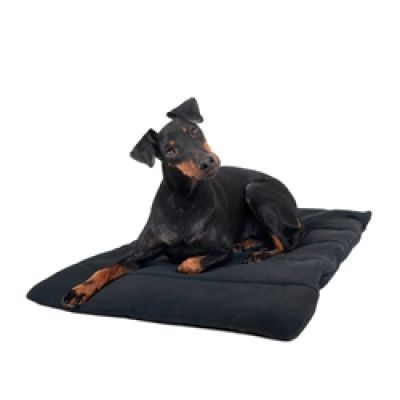 Back on Track Hundfilt