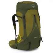 Osprey Atmos AG LT 50 Scenic Valley/Green Peppercorn