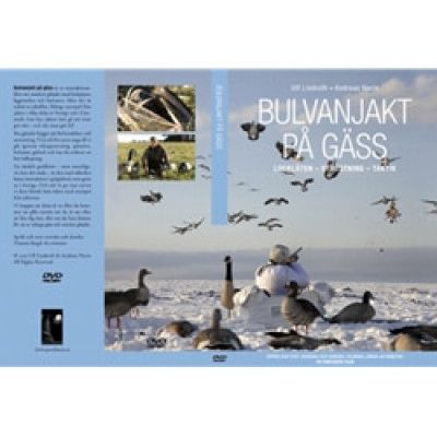 Bulvanjakt på Gäss