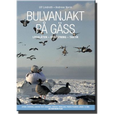 Bulvanjakt på gäss
