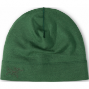 Arc'teryx Rho Lightweight Wool Toque Eden