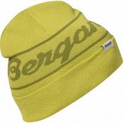 Bergans Juniors' Logo Beanie Green Oasis/Dark Green Oasis