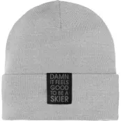 Elevenate Skier Beanie  Grey Melange