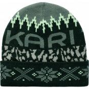 Kari Traa Women's Khloe Beanie Dark Green