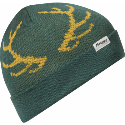 Bergans Kids' Antlers Beanie Forest Frost/Pineapple